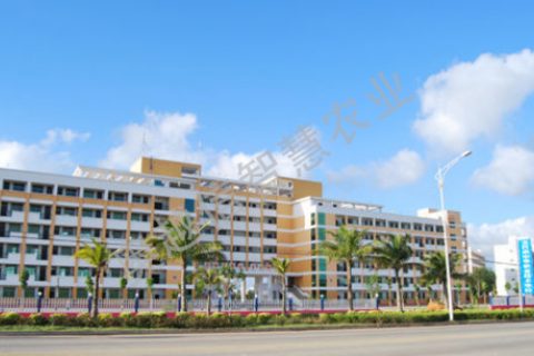 海南文昌學校智能玻璃溫室