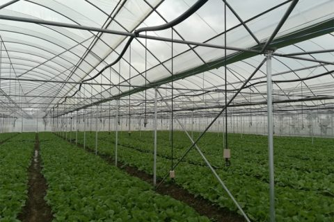 云南大理祥云智慧農(nóng)業(yè)現(xiàn)代示范園