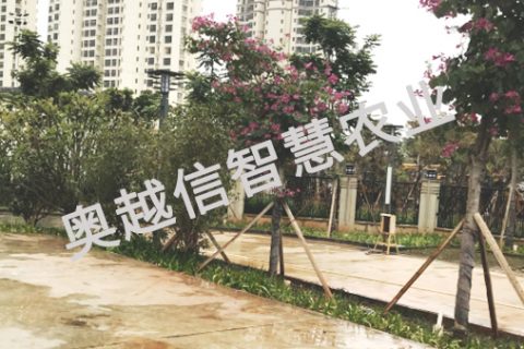 廣西南寧邕寧區商務大廈綠化工程智能澆灌項目