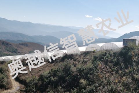 四川省涼山大箐蔬菜智慧農業生產基地
