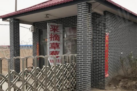 山西太原清徐縣孟封鎮農業物聯網示范基地