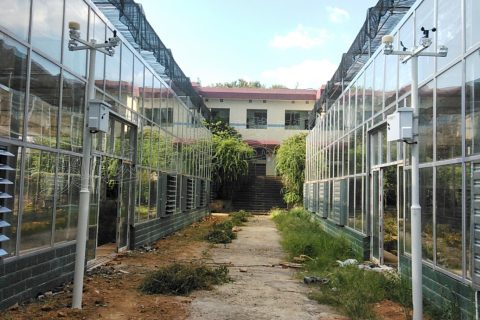 湖南職業技術學院玻璃智能溫室大棚項目