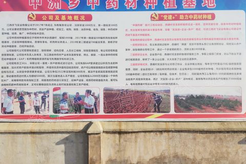 江西欣飛實業有限公司中藥材種植基地