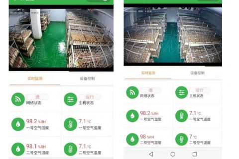 貴州雷山縣食用菌產業發展項目