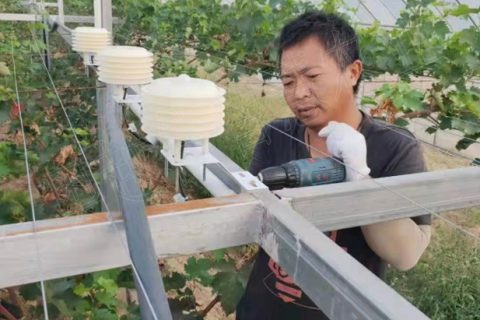 陜西現代農業園區-智慧農業自動化控制