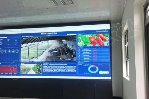 金塔農技中心農業科技創新示范園區