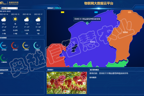 貴池區文豐精品葡萄種植家庭農場