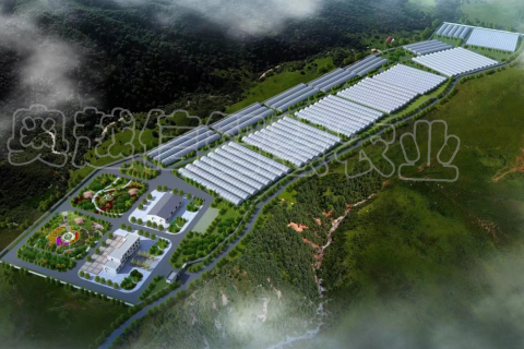 青海貴德縣現代農業產業孵化基地項目