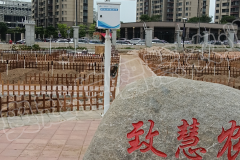 馬鑾灣實(shí)驗(yàn)小學(xué)勞動實(shí)踐基地建設(shè)